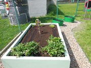 Zahrádka ve školce